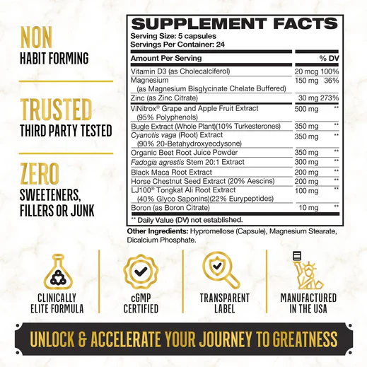 KING MAKER - Fuel for Kings - Image 7